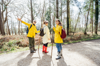 Neighborhood of friends strolling with backpacks in woodland. Trekking trudge in trudge way of life,