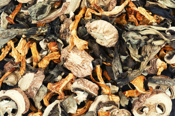 Wild dried mushrooms function, meals background.