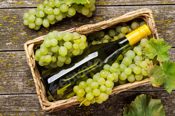 A wine bottle lies elegantly over a mattress of recent grapes