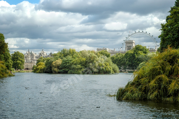 London Observe within the background in St. James’s Park, London