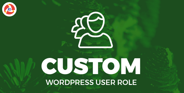 Personalized WordPress Particular person Role