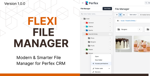 Flexi File Supervisor Module for Perfex